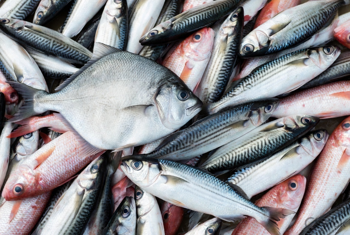 Assorted fish